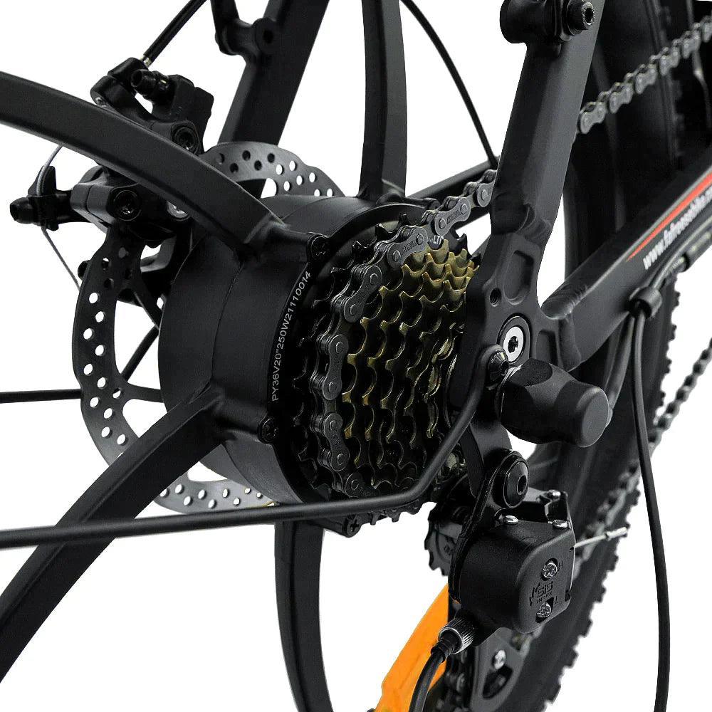 FAFREES F20 Folding Electric Bike - Image 13
