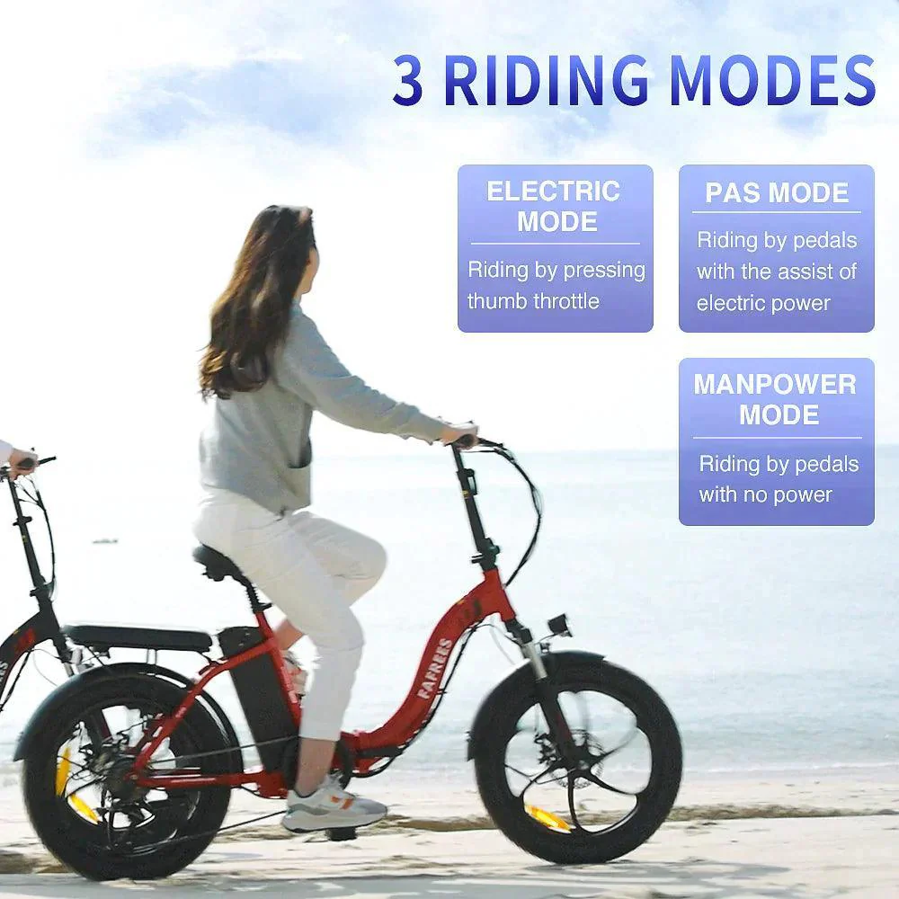 FAFREES F20 Folding Electric Bike - Image 19