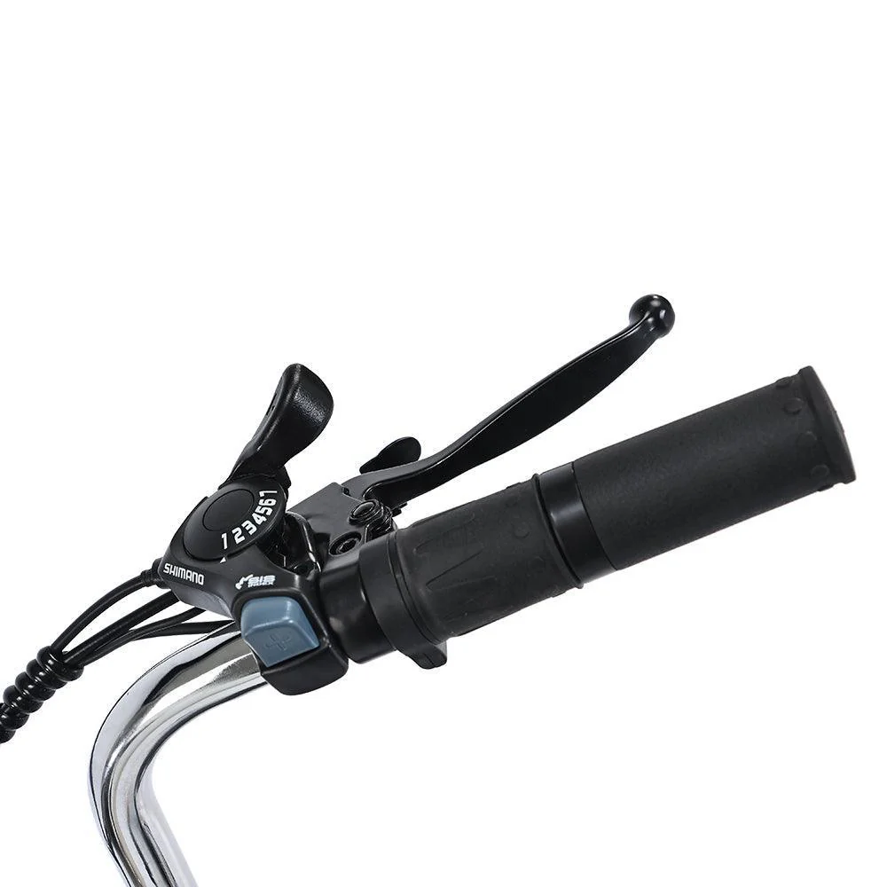 Gogobest GF100 Electric Tricycle Cargo E-bike - Image 16