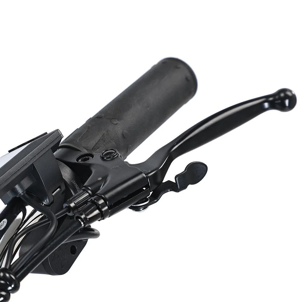 Gogobest GF100 Electric Tricycle Cargo E-bike - Image 19