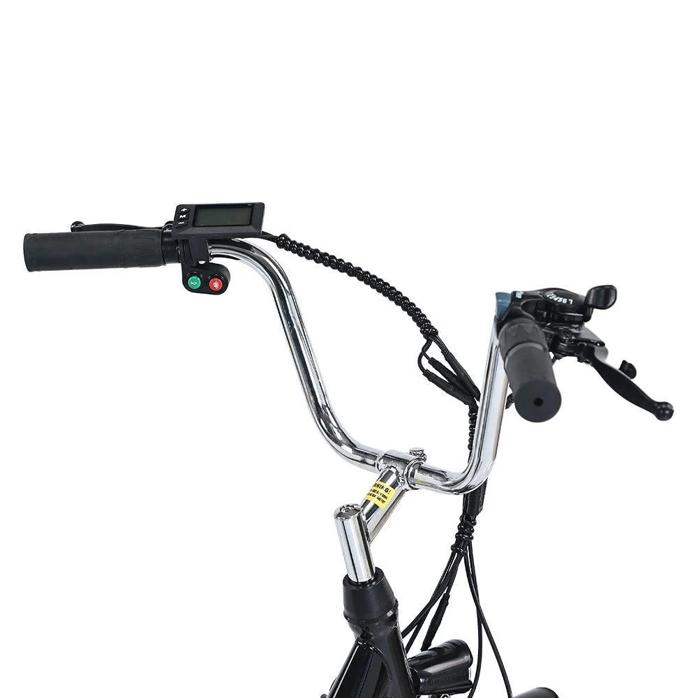 Gogobest GF100 Electric Tricycle Cargo E-bike - Image 9